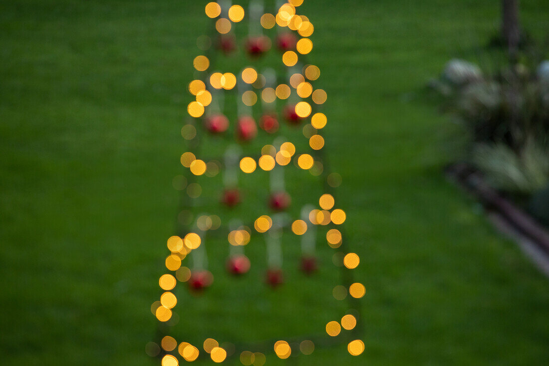 Lights in the garden - bokeh