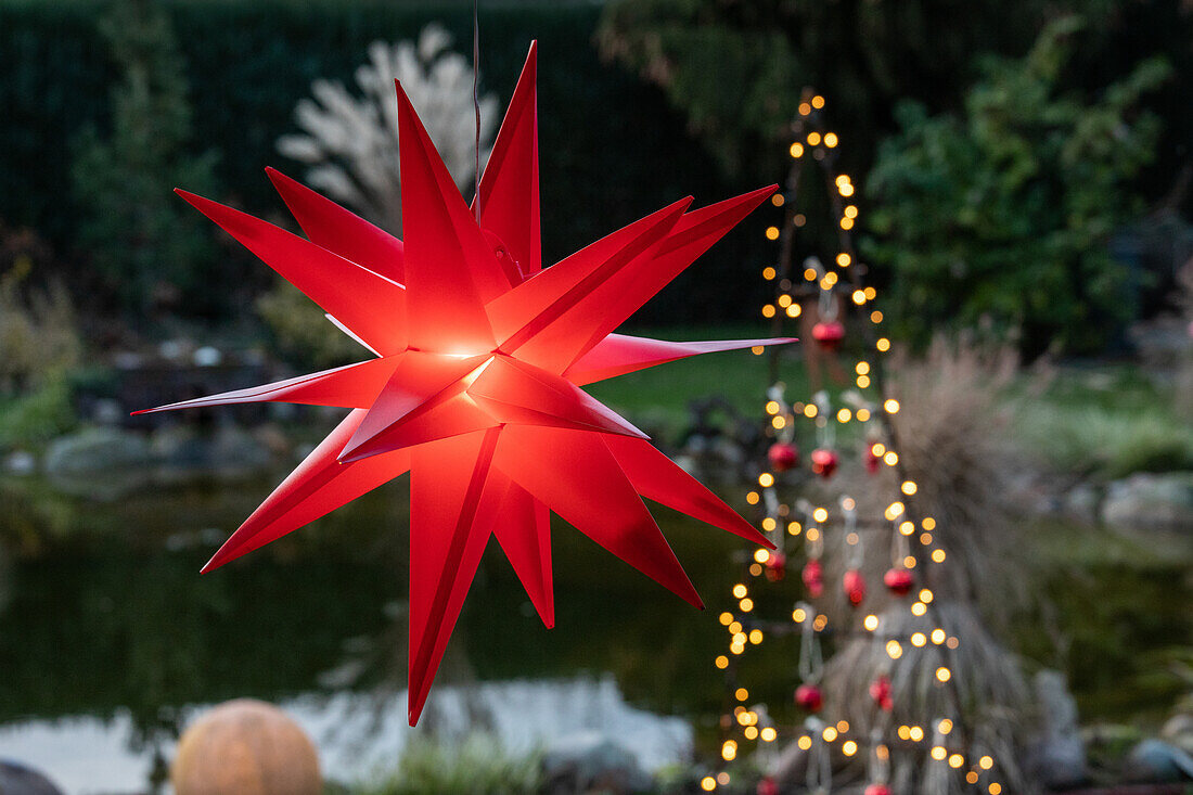 Lights in the garden - illuminated star