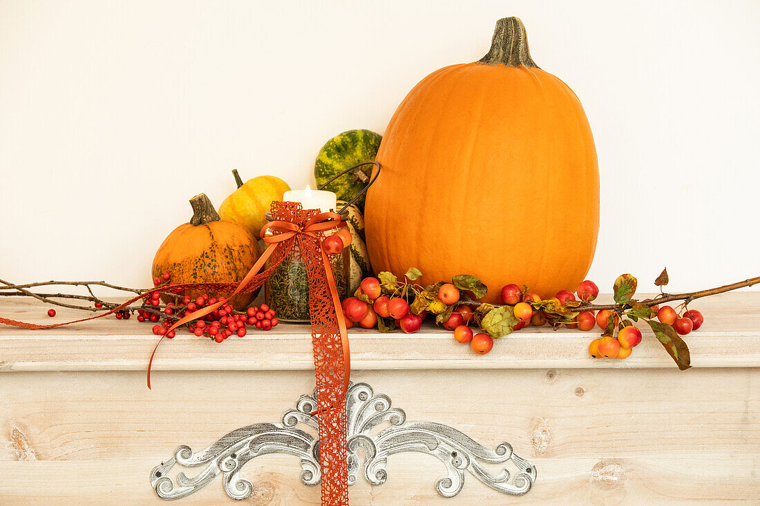 Thanksgiving - Autumn decoration lantern