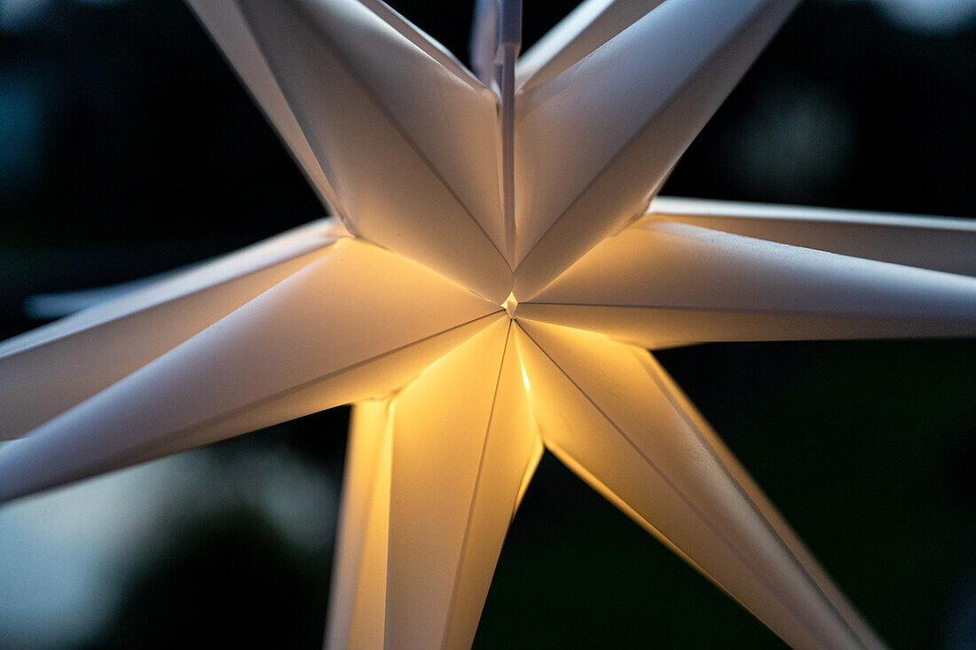 Lights in the garden - Star