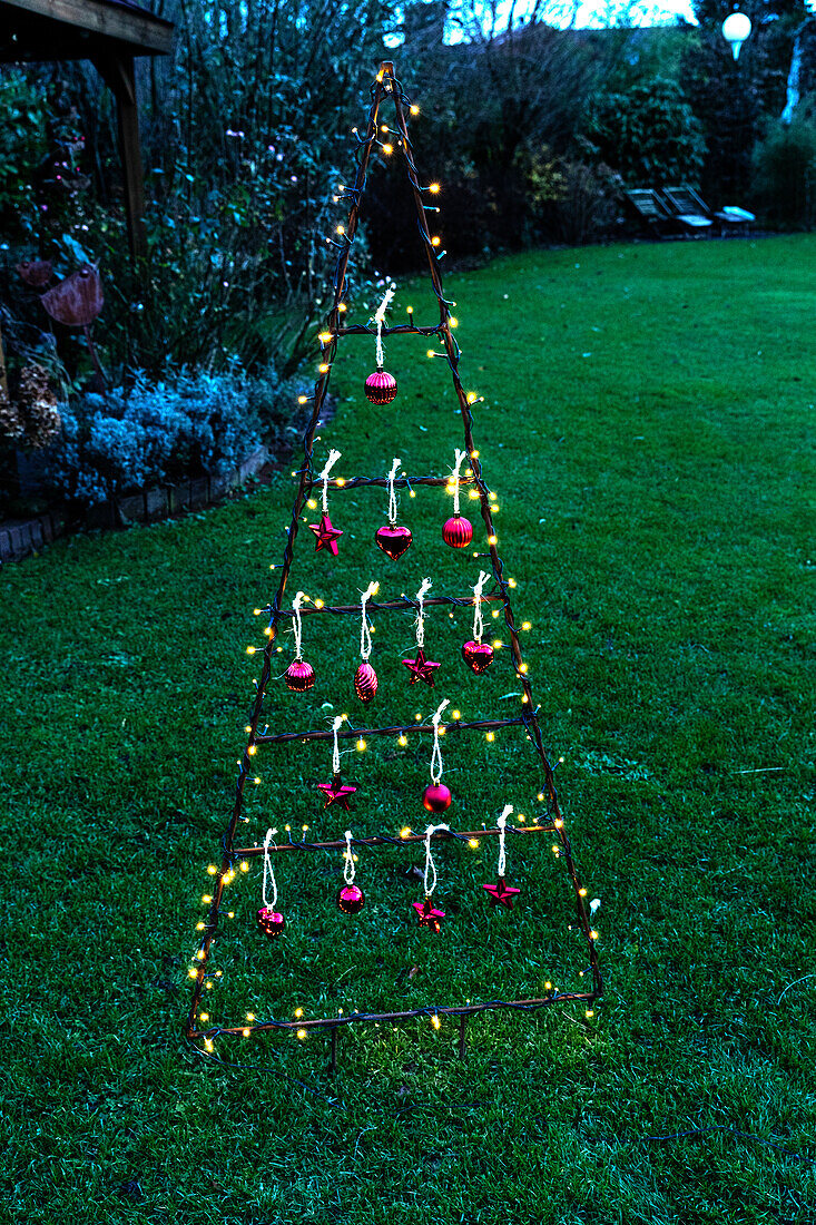 Lights in the garden - Christmas decoration