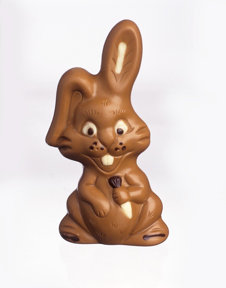 Chocolate Easter bunny (brown & white chocolate)
