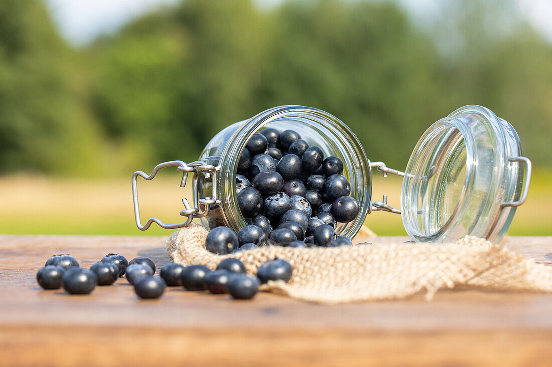 Blueberries in a jar