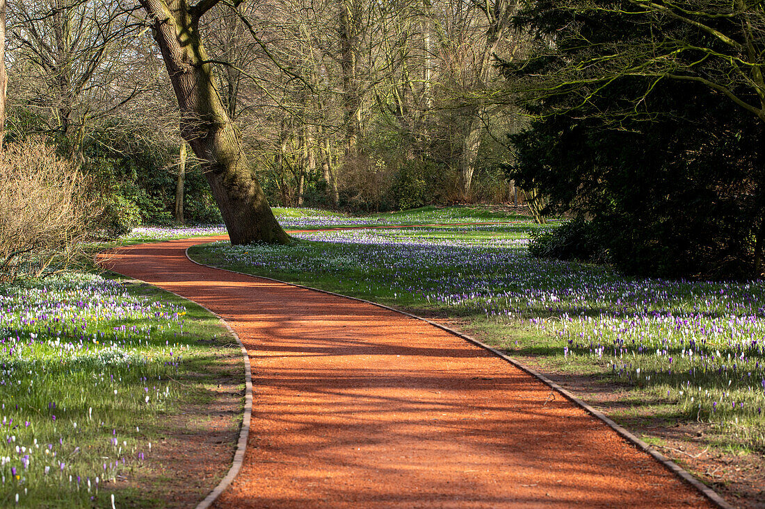 Path with early bloomers