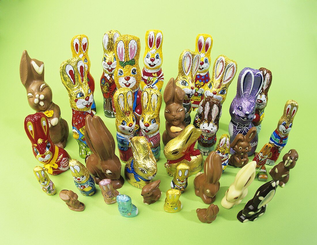 Lots of different chocolate Easter Bunnies on green background