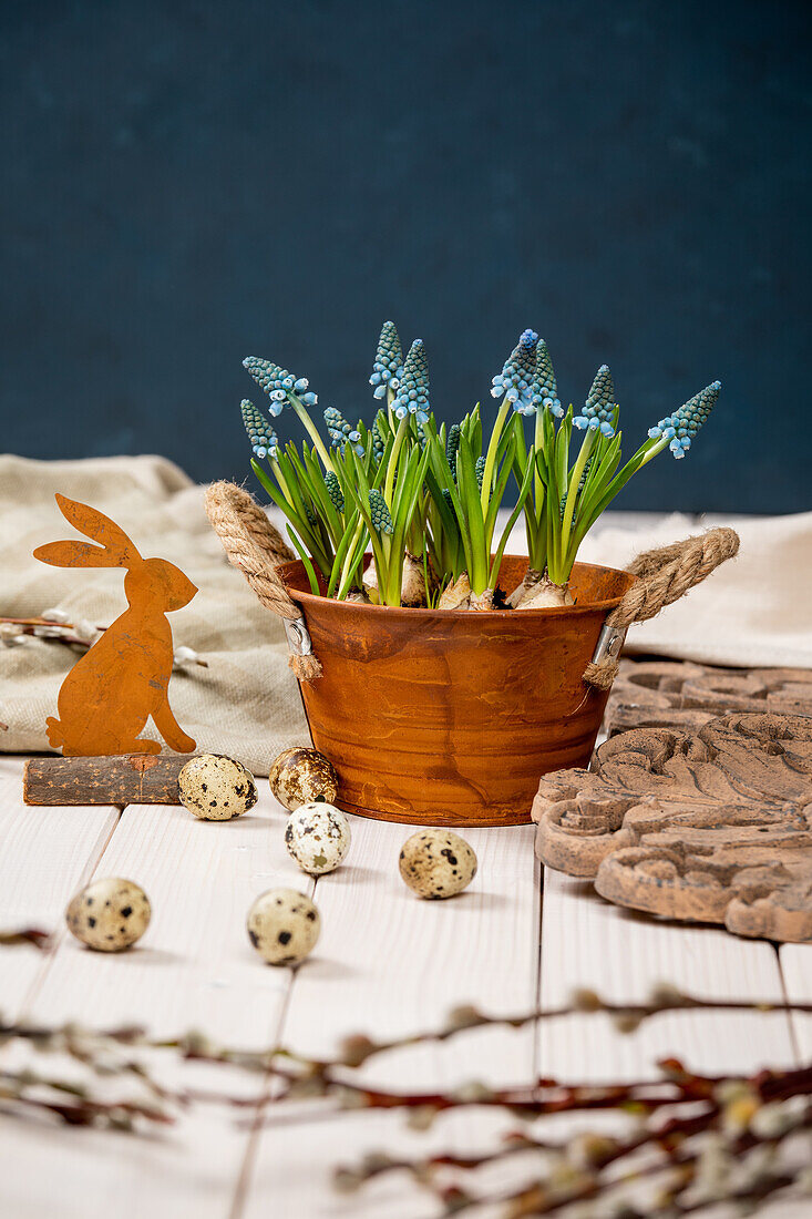 Easter - Decoration and grape hyacinths