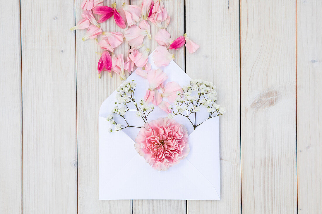 Schnittblume und Blütenblätter im Briefumschlag