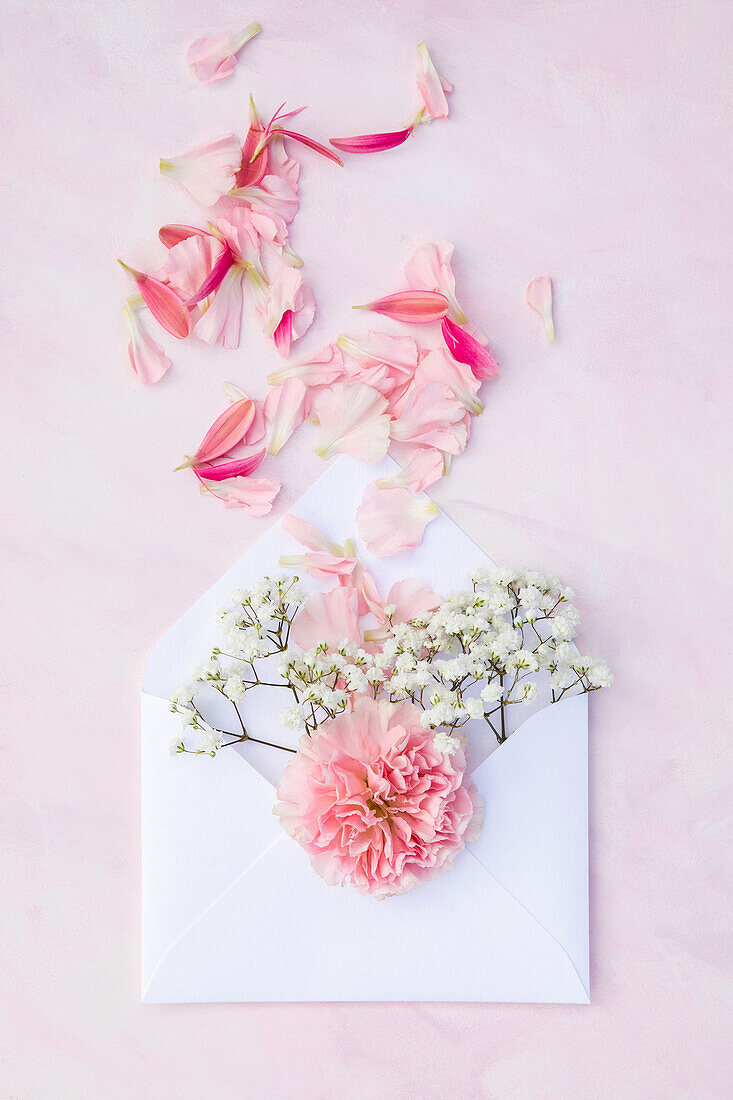 Schnittblume und Blütenblätter im Briefumschlag