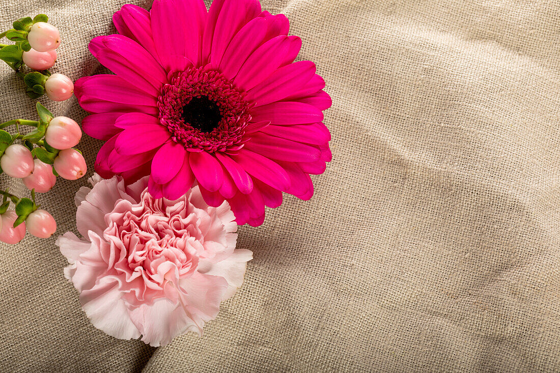 Nelke und Gerbera liegend