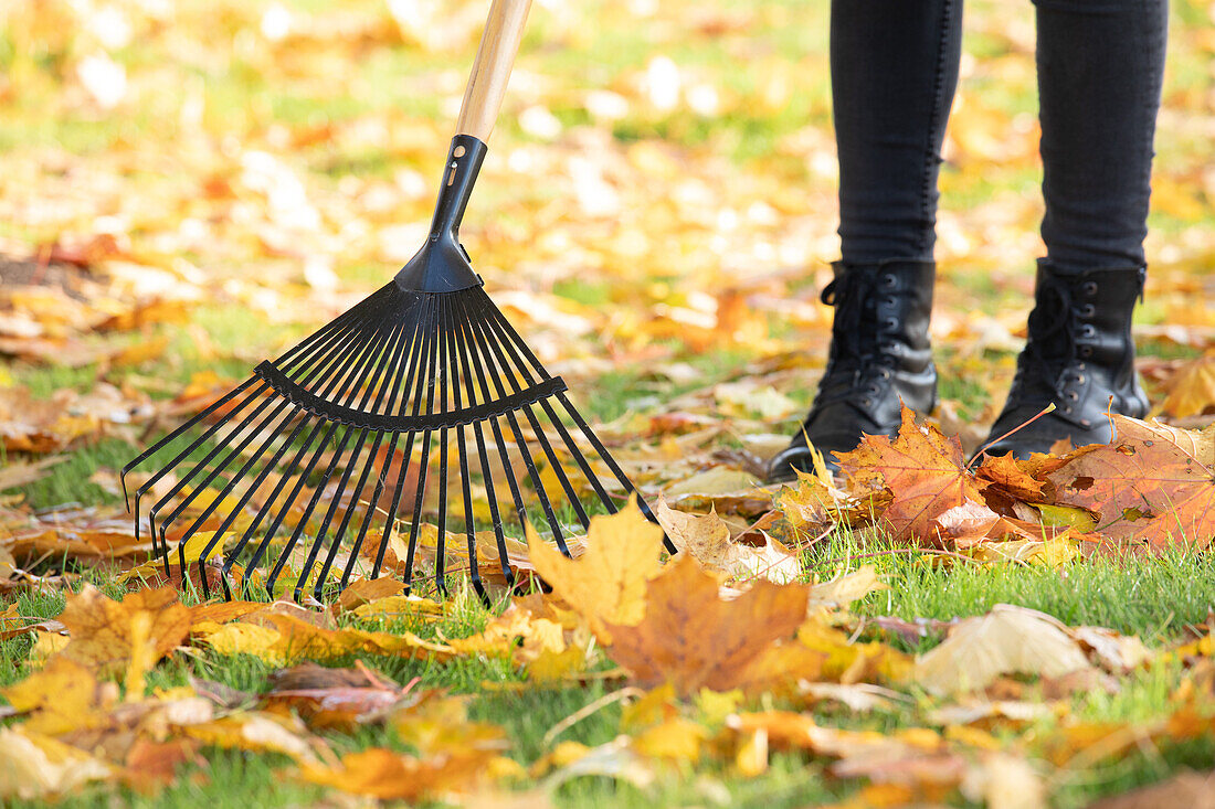 Leaf rake