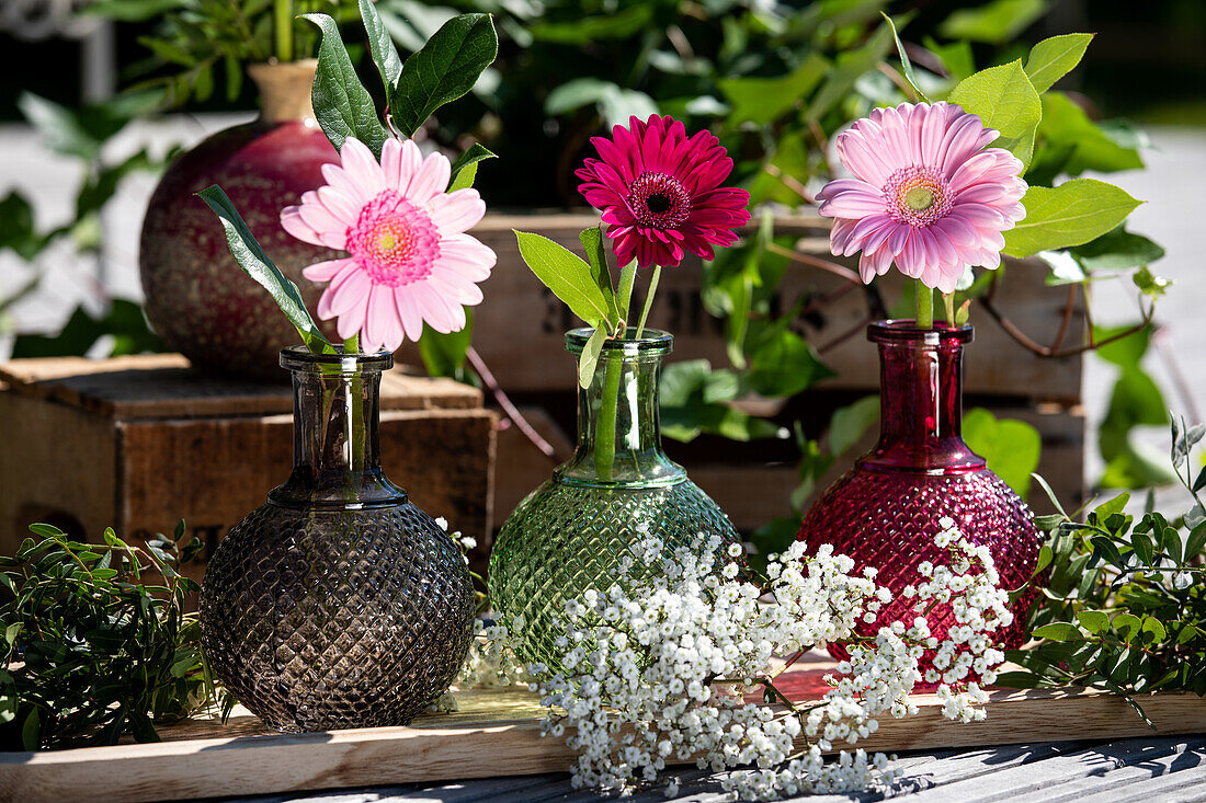 Gerberas in Vasen