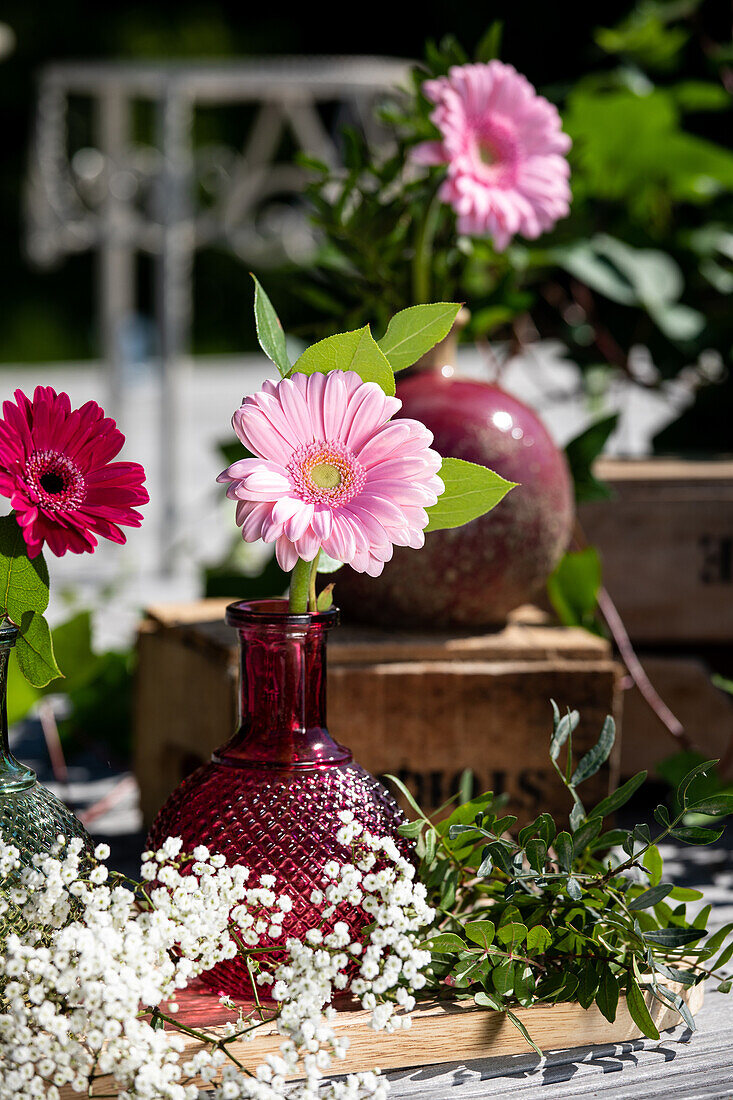 Gerbera in Vase