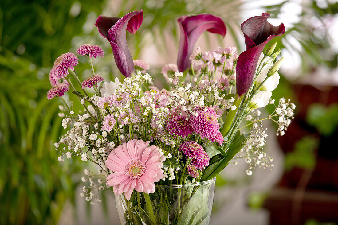 Bouquet of cut flowers