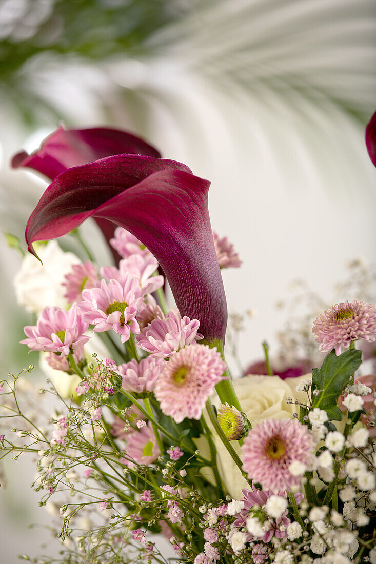 Bouquet of cut flowers