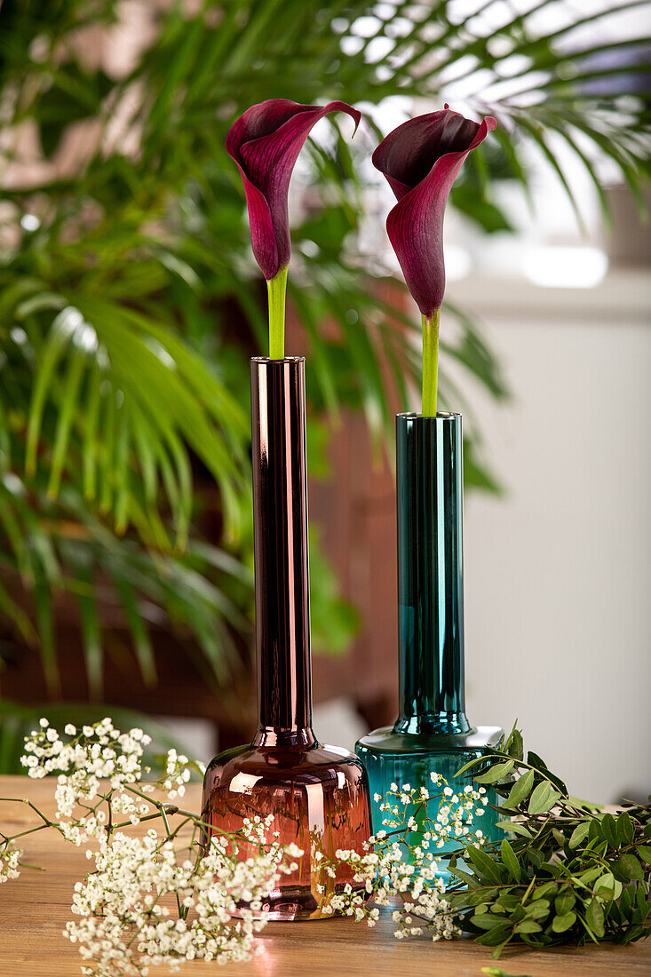 Callas in vases