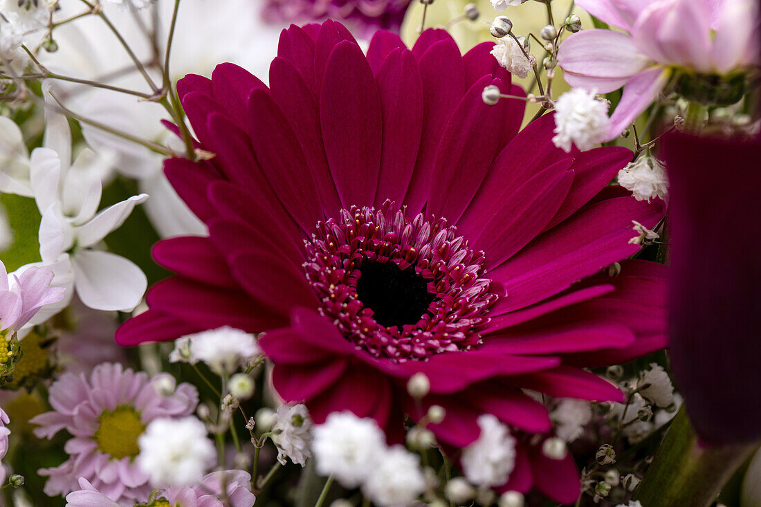 Bouquet of cut flowers