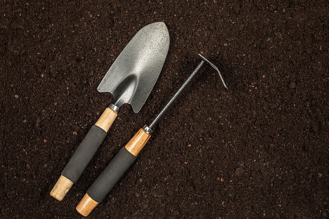 Garden tools on earth