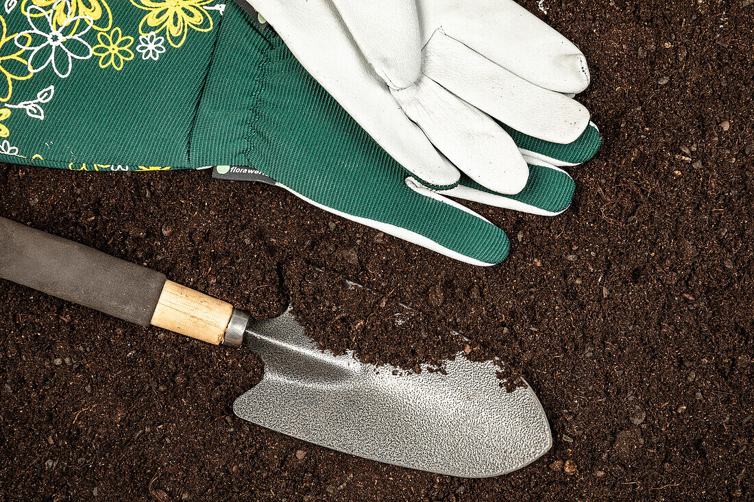 Garden tools on earth