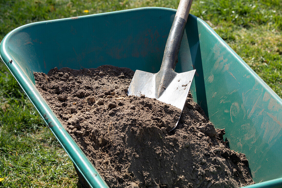 Wheelbarrow with shovel