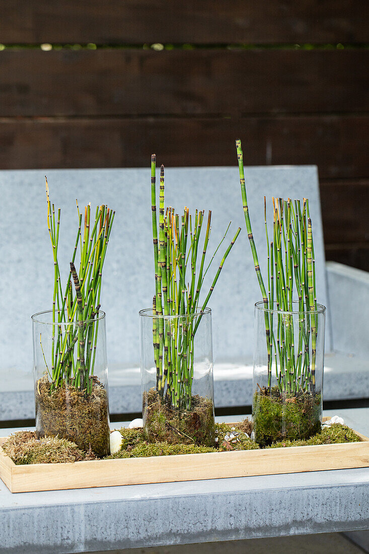 Winter Horsetail Decoration