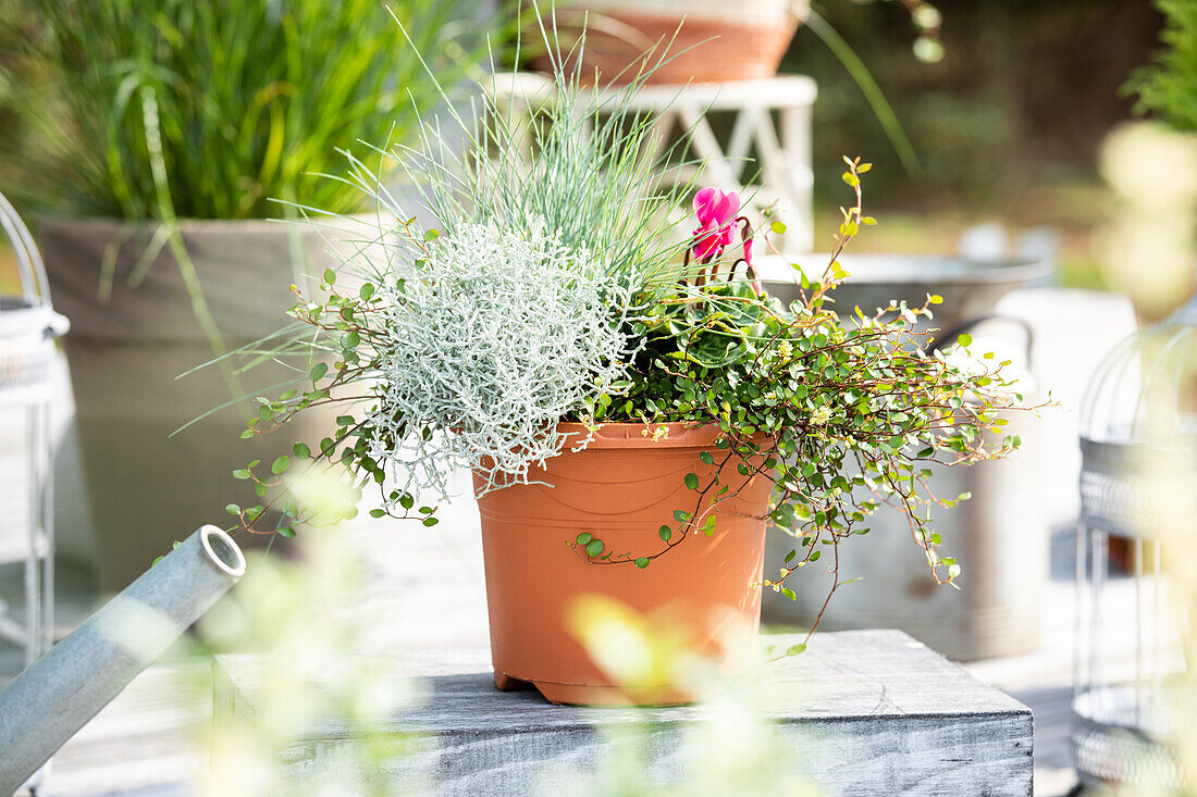 Autumn decorative flower