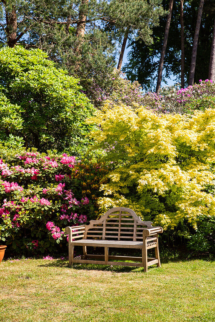 Bench in the garden