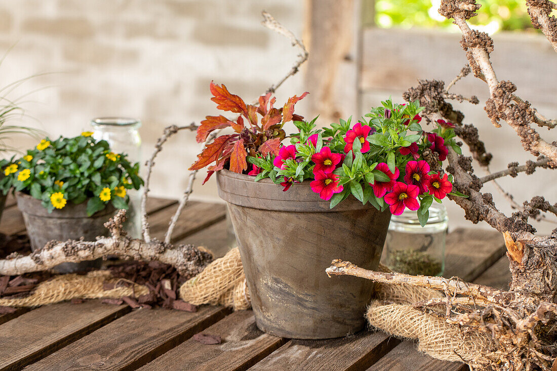 Dekoration im Garten