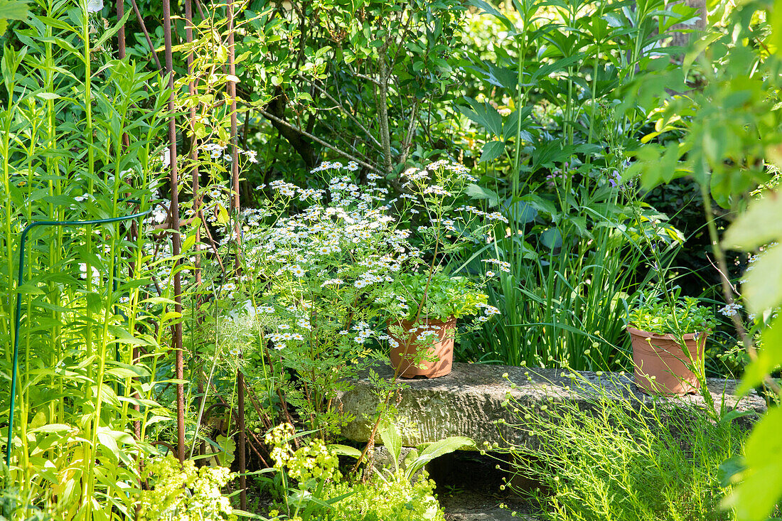 Gartenambiente