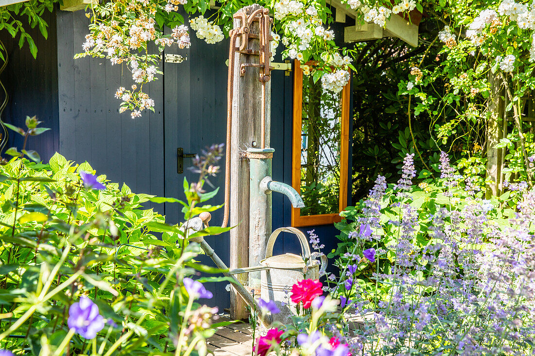 Well pump in the garden