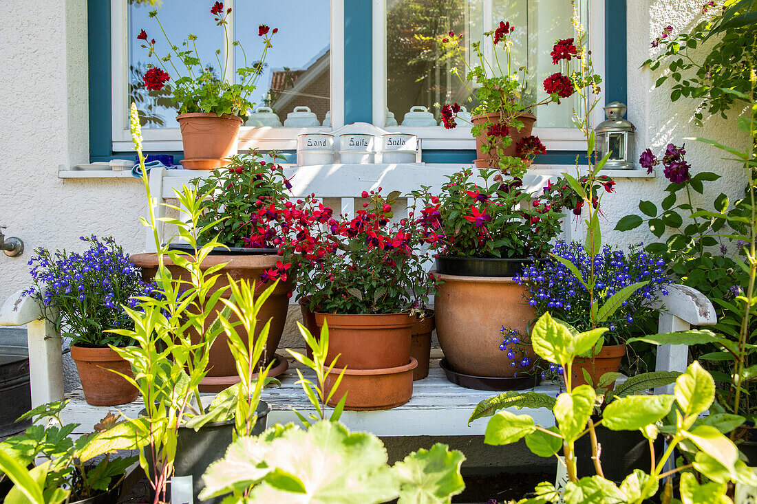 Gartenbank mit Pflanzen