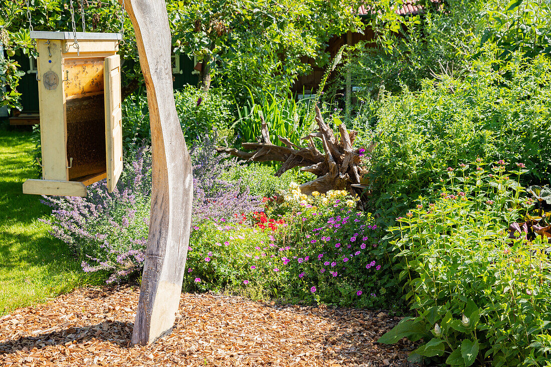 Perennial bed with bee box