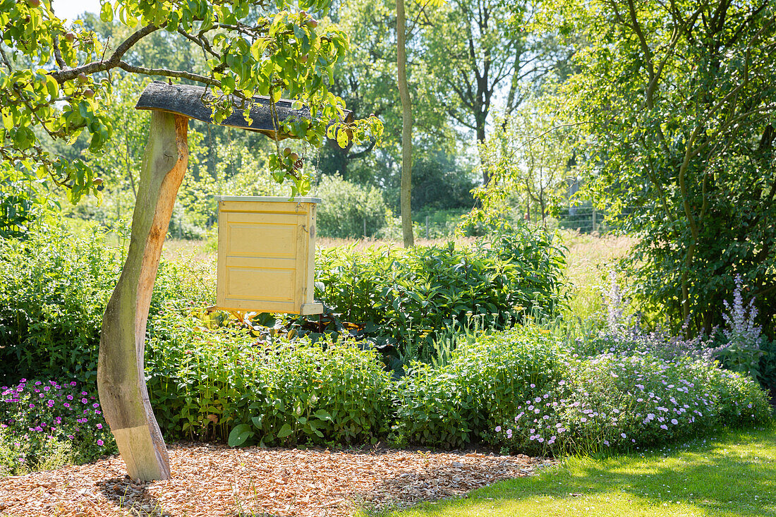 Staudenbeet mit Bienenkasten