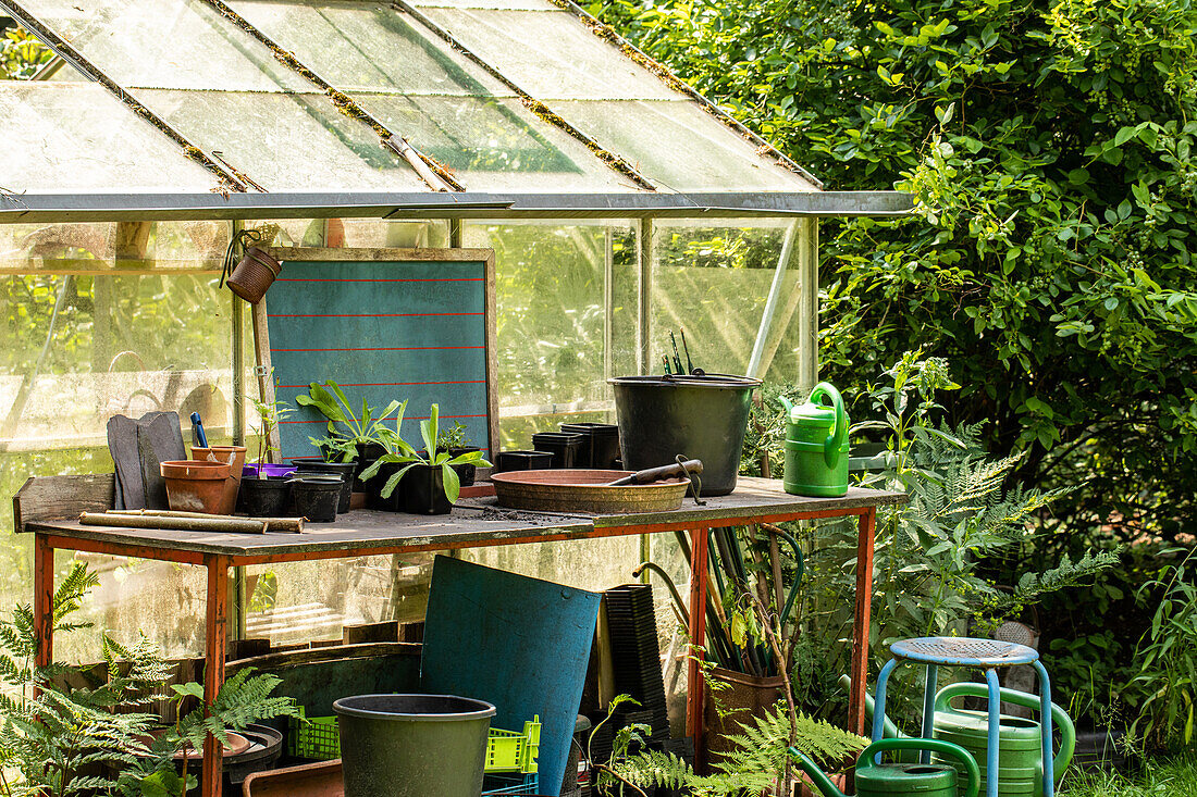 Plant table by the greenhouse