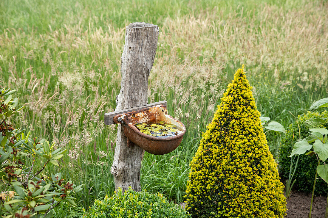 Garden decoration - Rickel stake with drinking trough