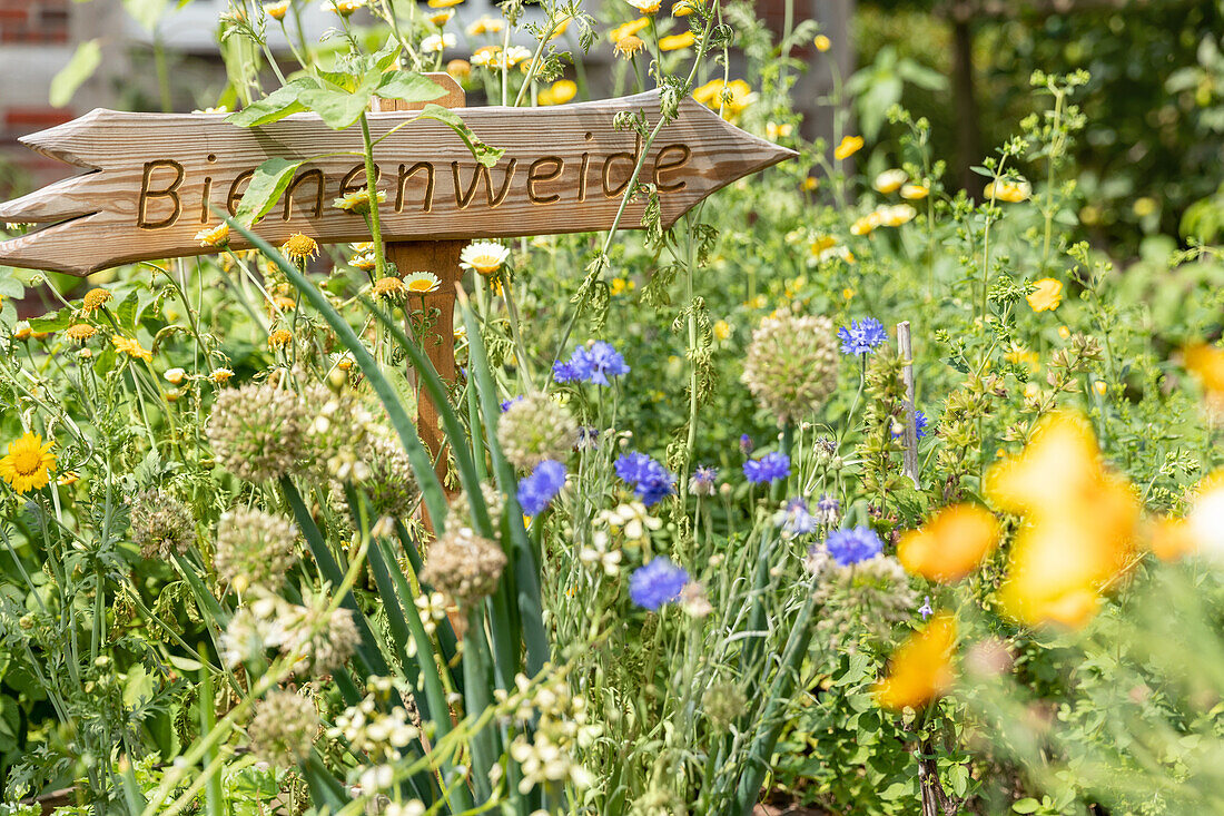 Garden decoration - "Bee pasture" sign