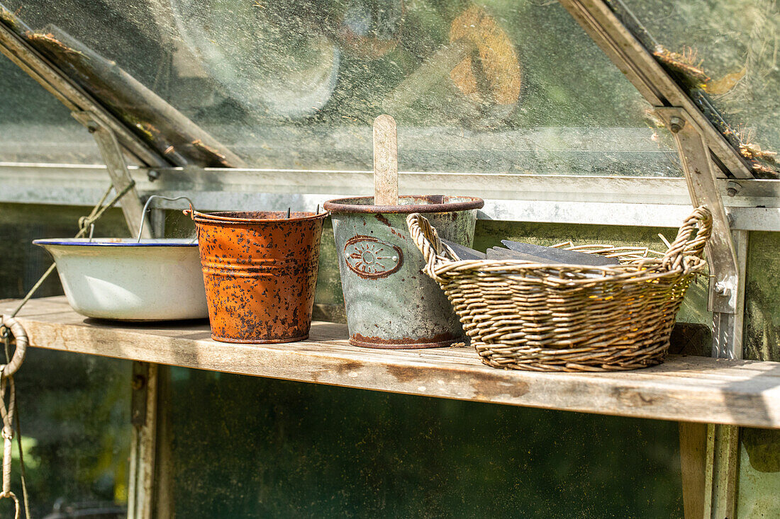 Pots in the greenhouse