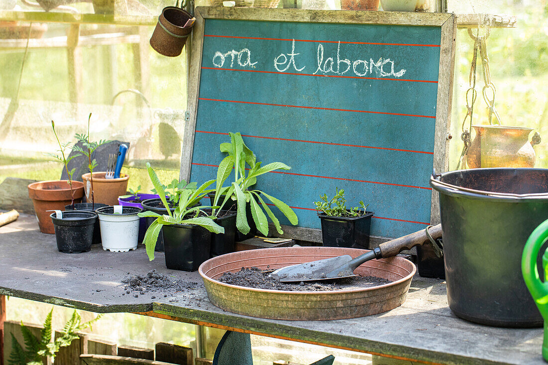 Planting table