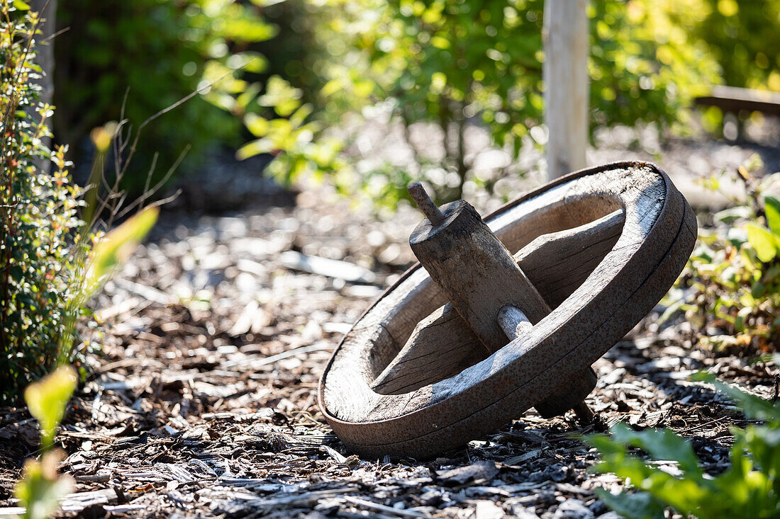 Wooden wheel in the garden