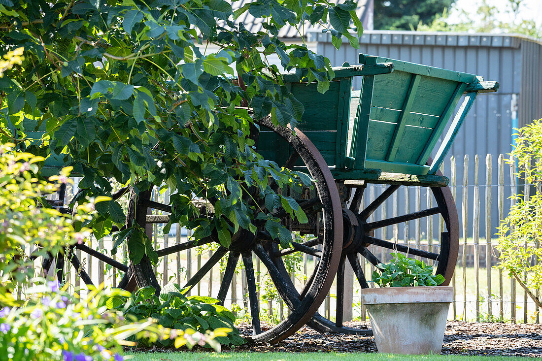Wooden cart in the garden