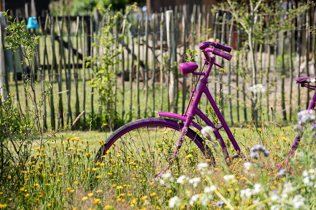 Decorative bicycle in the garden