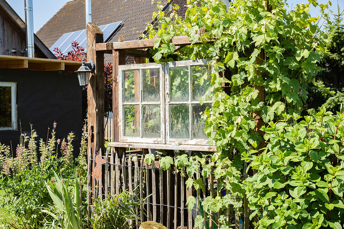 Garden ambience