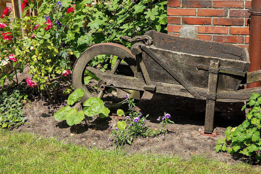 Garden decoration - Peat wheelbarrow in the bed