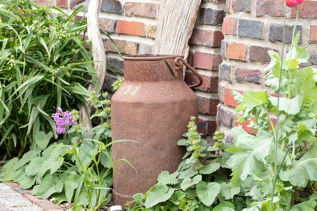 Garden decoration - Milk jug with rust finish