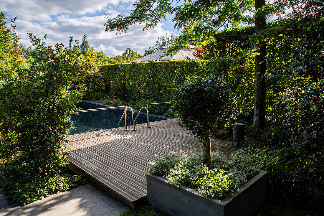 Garden impression - pool area