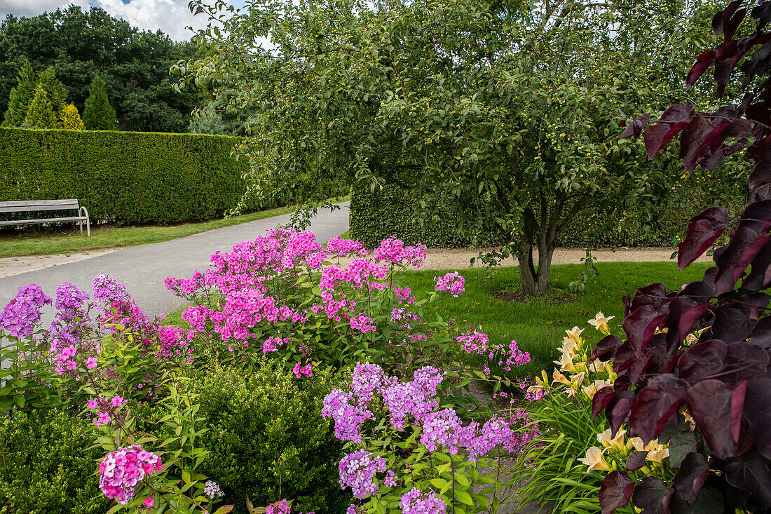 Garden impression - shrub bed