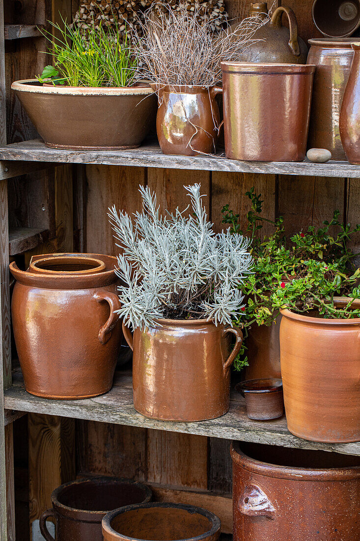 Garden decoration - pots