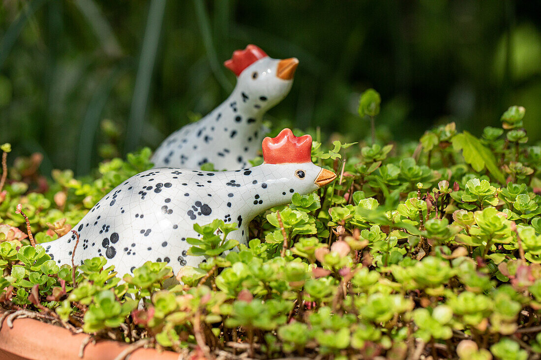 Garden decoration - Chickens figurines