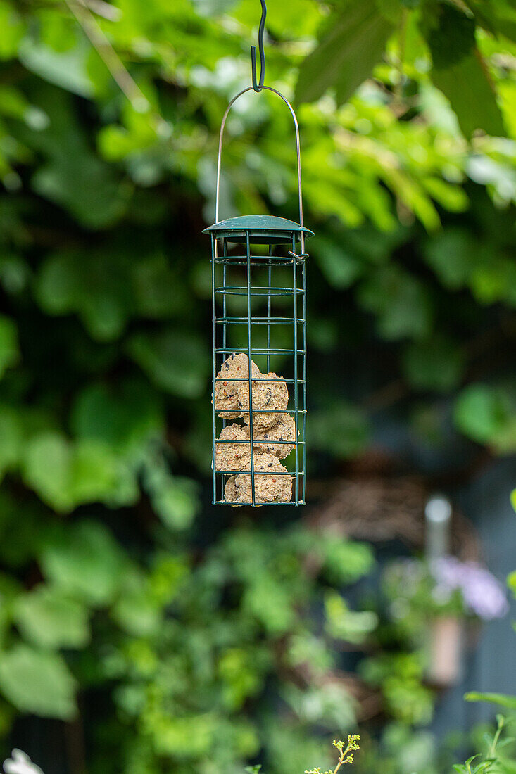 Gartendekoration - Vogelfutterstation