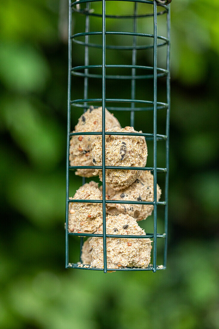 Garden decoration - Bird feeder station