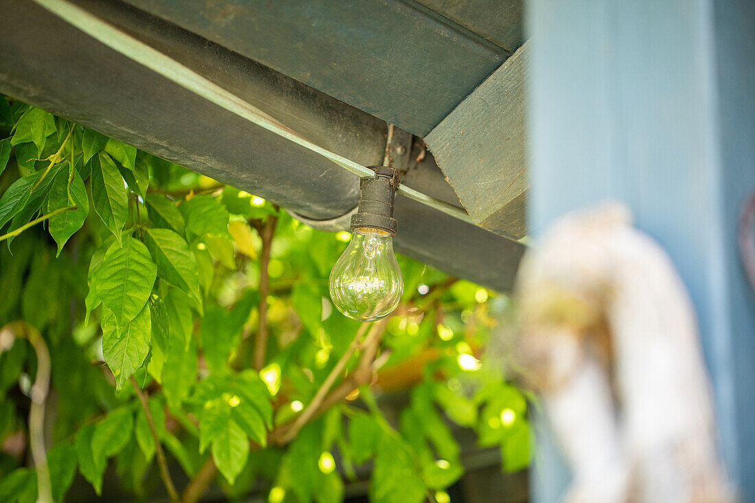 Garden lighting - fairy lights